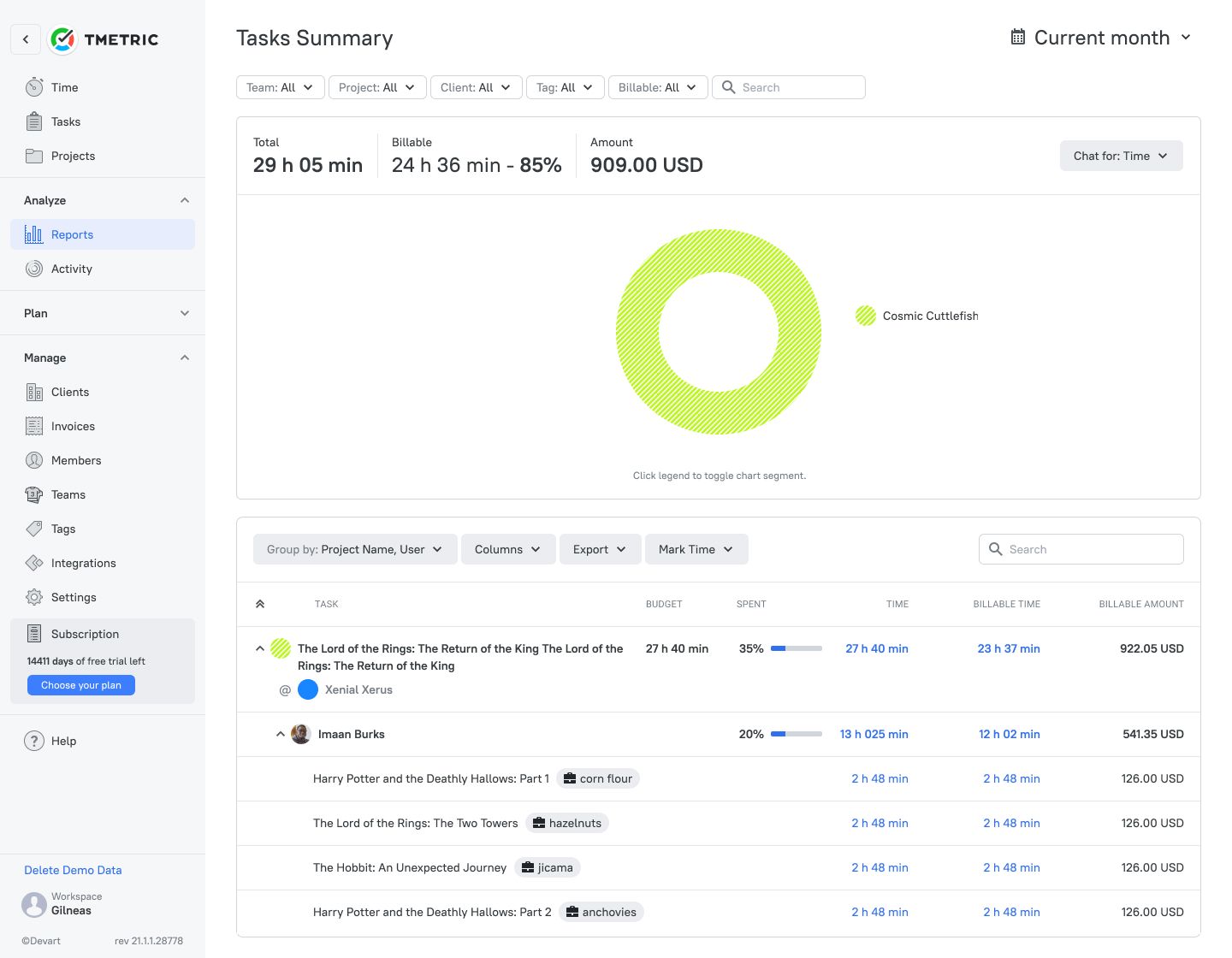 Tasks summary report in TMetric