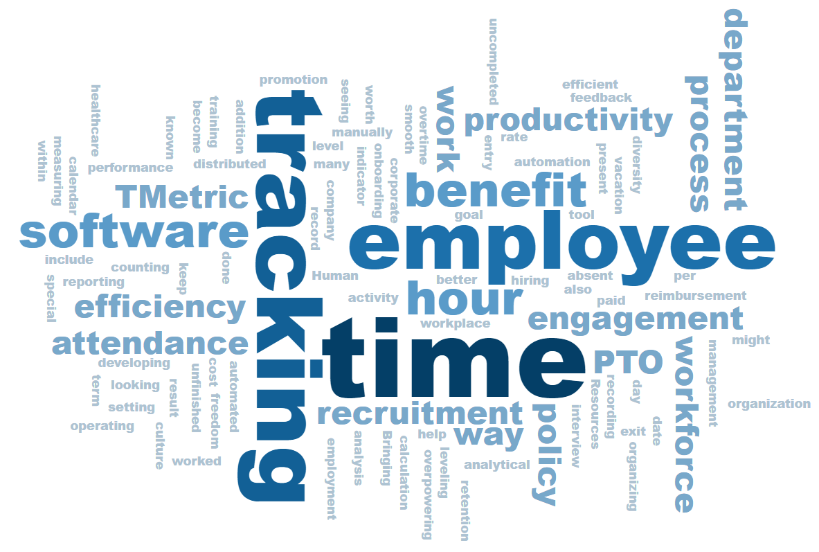 wordcloud for TMetric in HR 