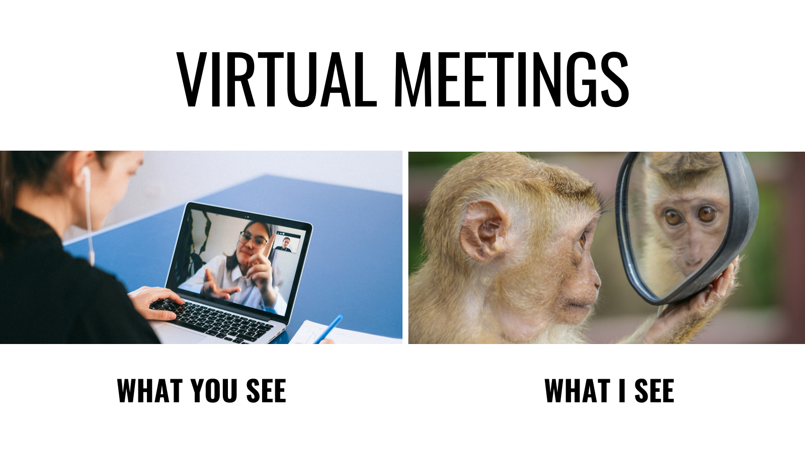 meme for virtual meetings 