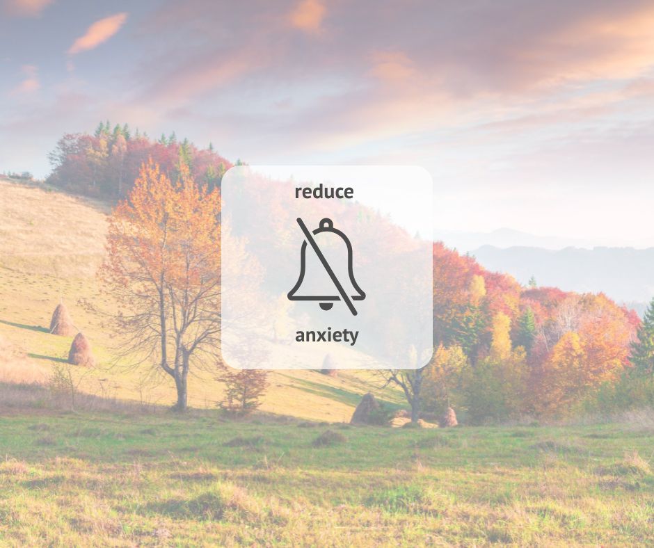 autumn landscape and words reduce anxiety 