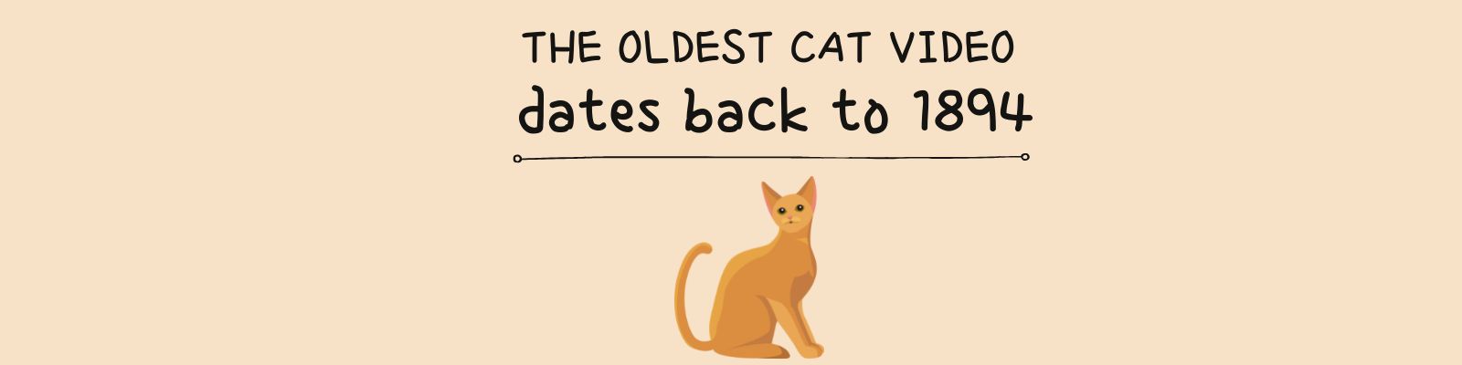 fact about YouTube cat videos 