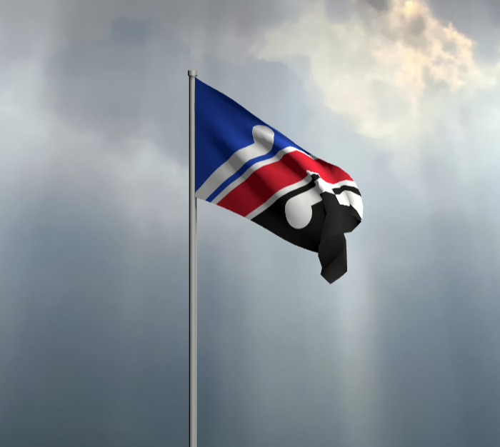 une image de drapeau flottant 