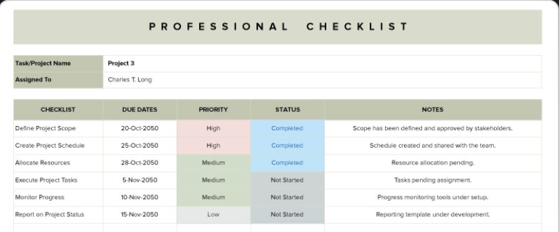 Template.net Professional Checklist screenshot