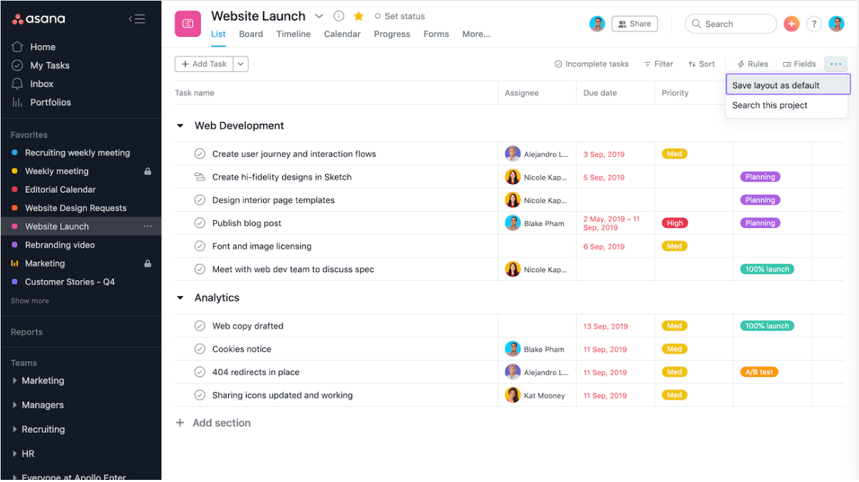 asana screenshot