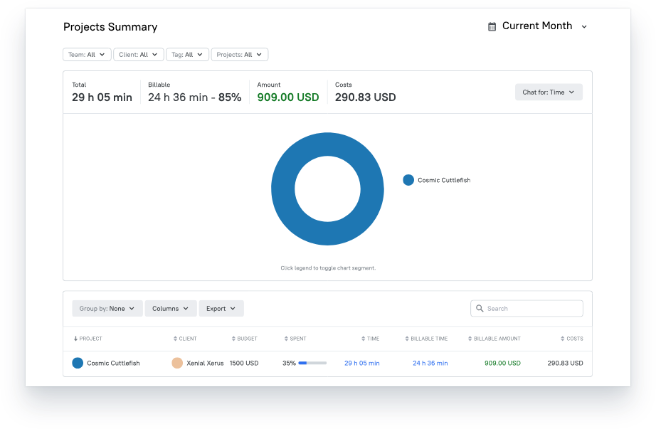 tmetric reports for budgeting