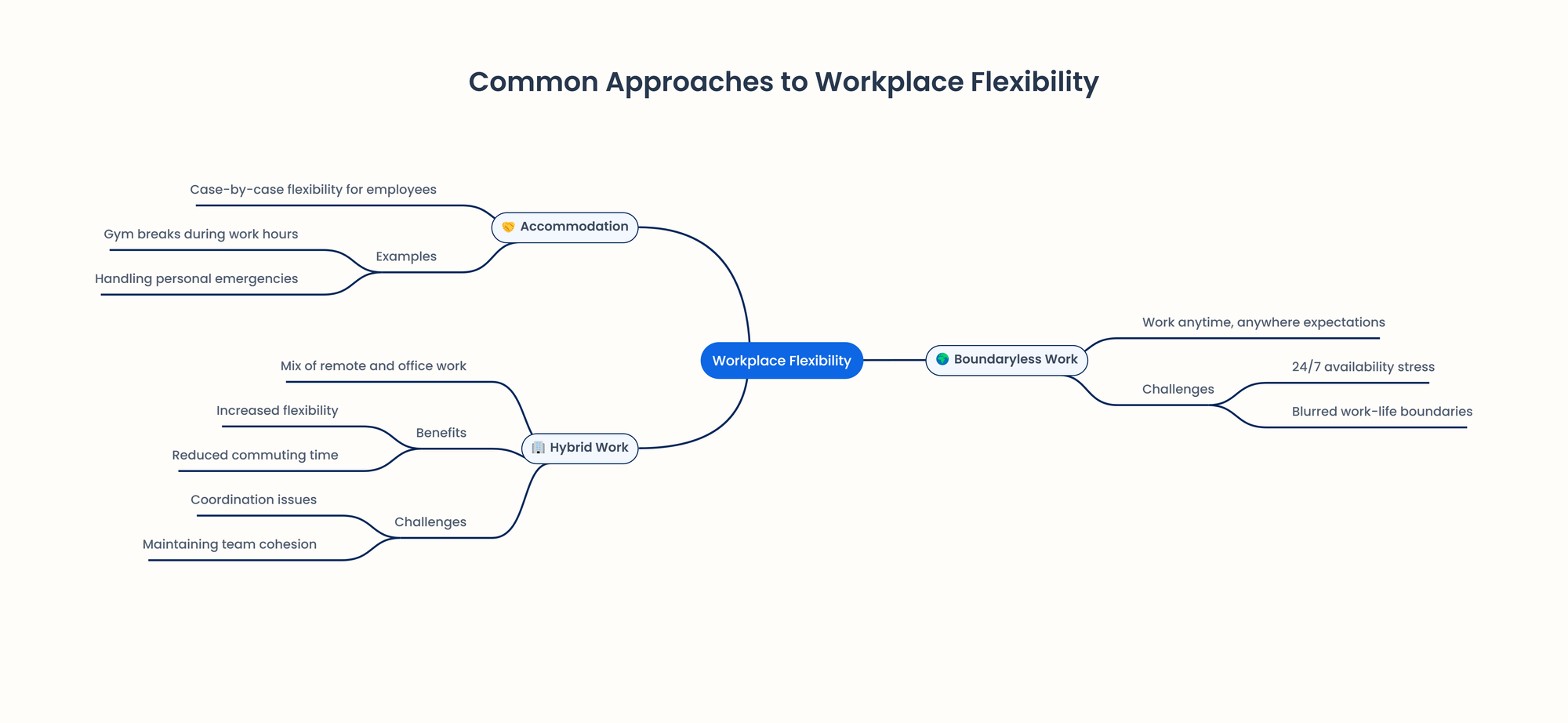 approaches to workplace flexibiity