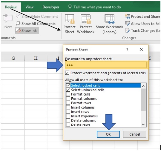 data protection in excel