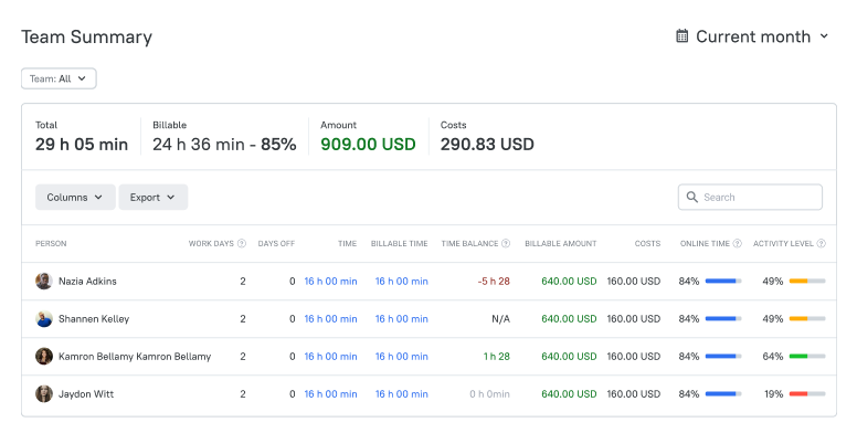 tmetric team summary